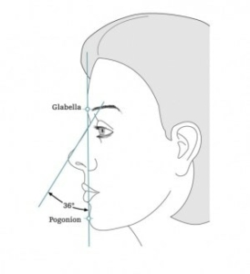 Darstellung der optimalen Gesichts Kompostion in Bezug auf Nase und Kinn.