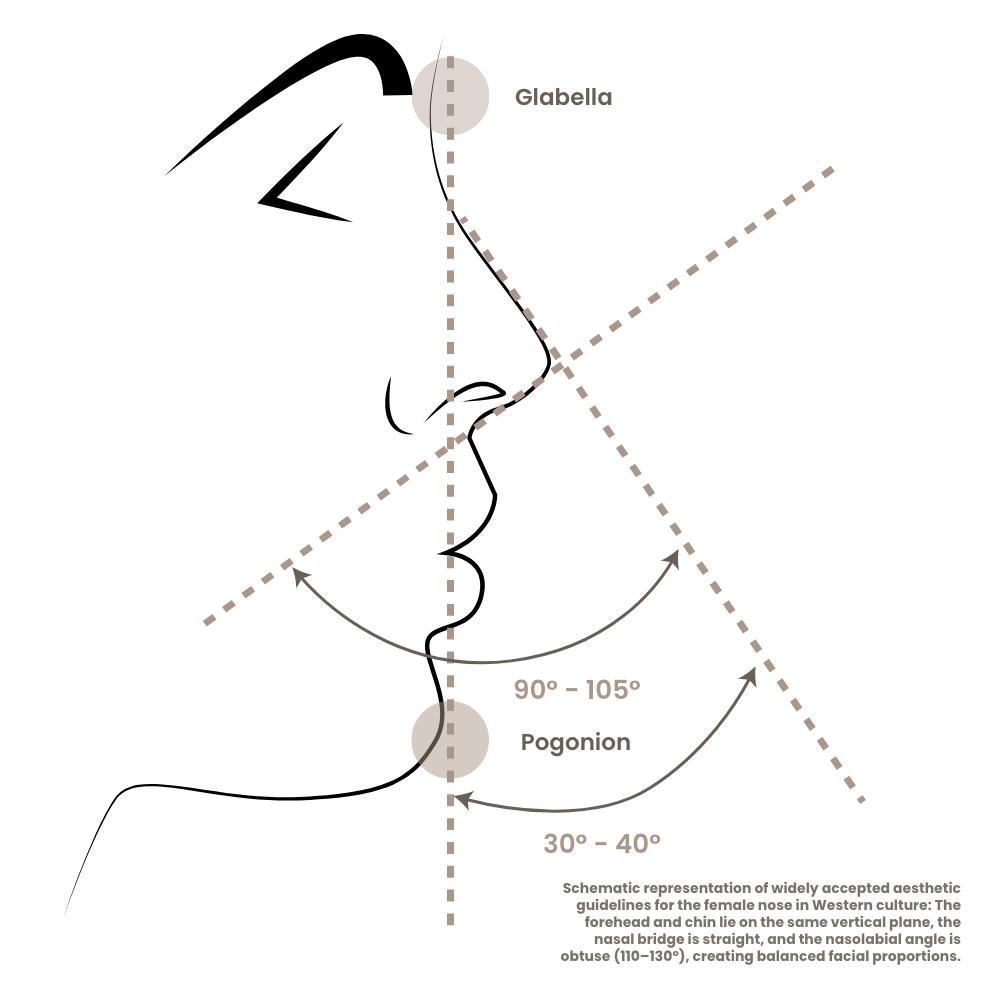 kinnkorrektur-aesthetische-richtlinien