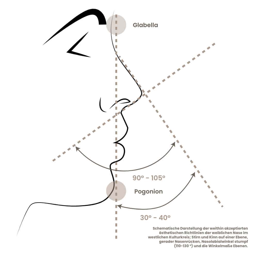 Diagramm der Nasenform mit Glabella, Pogonion und Winkelangaben.